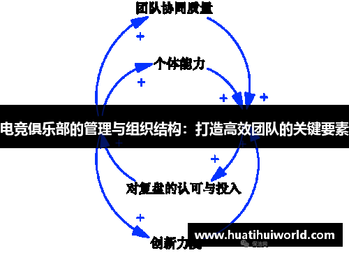 电竞俱乐部的管理与组织结构：打造高效团队的关键要素